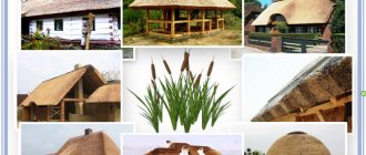 Ecological reed roofs