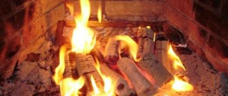 Burning Eurobriquettes in a furnace