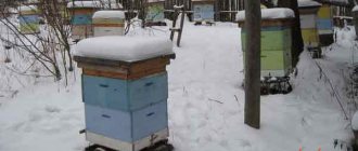 Warming hives for the winter